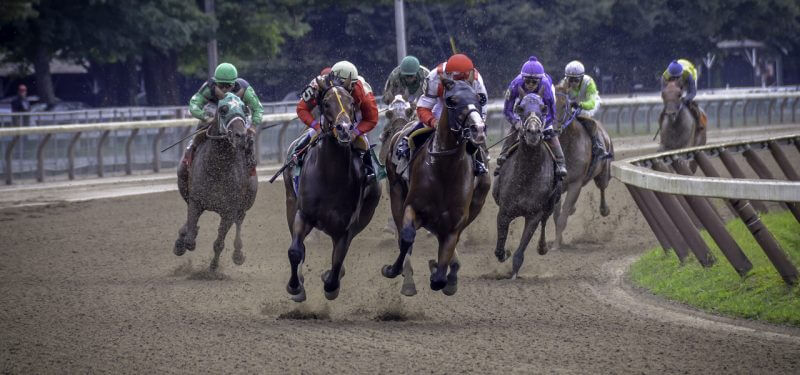 Racing horses